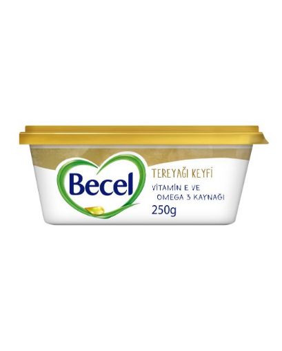 BECEL KASE TEREYAĞ KEYFİ 250 GR 32'Lİ resmi