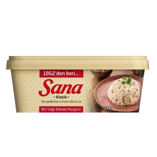 SANA KASE KLASİK 250 GR 32'Lİ resmi