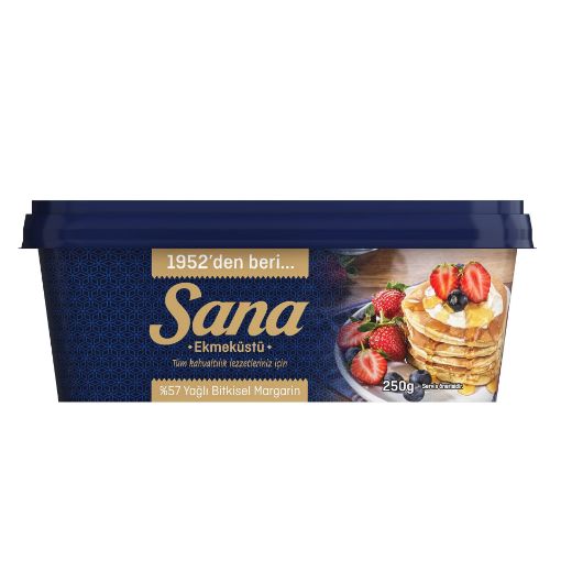 SANA KASE EKMEK ÜSTÜ 250 GR 32'Lİ resmi